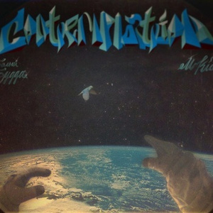 国产精品无码免费播放
